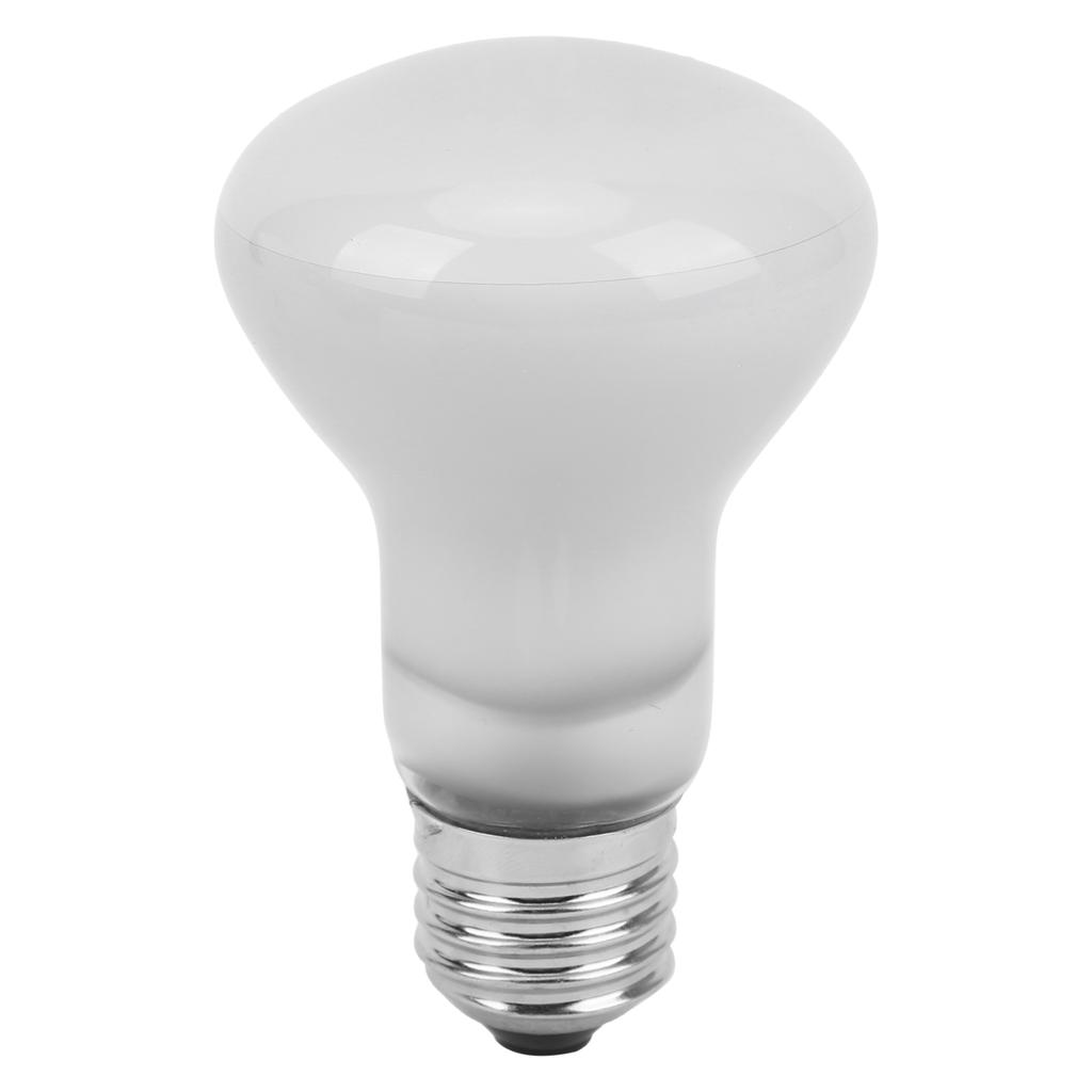 E27 Reptile Heat Lamp UVA Heat DayLight Bulbs for Tortoise Reptiles Crawling Pet70W 220V