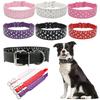 Expandable Pet Collar Chain With Gorgeous Rhinestone Design Various Colors Available