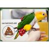 Bird Flight Suits Diapers, Parrot Diapers for Monk Parakeets, Cockatiels Flight Suits, Parrot Clothes, Bird Training Nappy Suit Liners Clothes