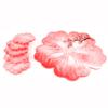 Flower Shape Coaster Mold with Sunlight Edges Fruit Tray Silicone Epoxy Casting Mold for Resin DIY Jewelry Plate Trinket