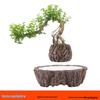 Magnetic Levitation Potted Plant Ornament - Creative Home Décor & Gift