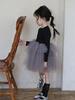 Korean Style Girls' Puffy Princess Dress - Long Sleeve Mesh Gauze Skirt for Spring & Autumn