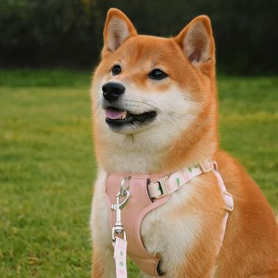 Adjustable Dog Leash Vest Type Explosion Proof Pet Harness Chest Back Large Medium Small Dog Vest Outdoor Activities