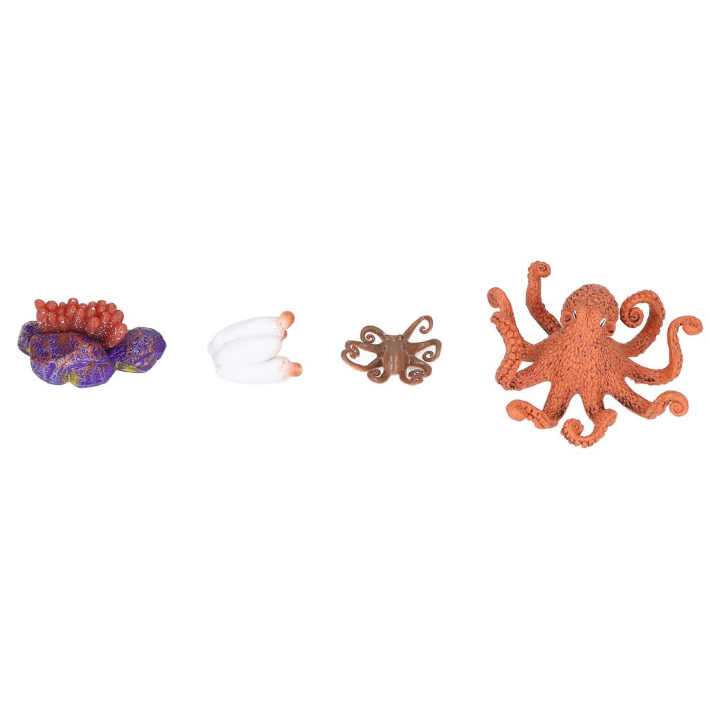 Growth Cycle Model Vinyl Material Safe Odorless Vivid Real Octopus Animal Life Cycle Model for