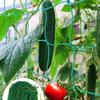 Netting for Climbing Plants, Plant Support Mesh for Cucumber, Beans, , Flowers, Square Garden Climbing Net