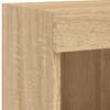TV Wall Cabinet with LED Lights Sonoma Oak 100 x 30 x 40 cm