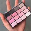 Kappel 16-Color Eyeshadow Palette: Shimmer, Matte, and Under-Eye Highlight for Cool, Everyday Makeup