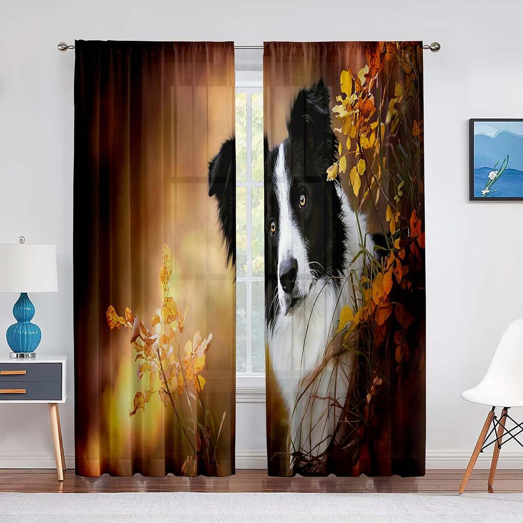 Two Pretty Border Collie Dog Tulle Curtains for Living Room Sheer Transparent Curtains Window for The Bedroom Accessories Decor
