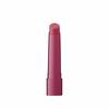 ettusais Lip Edition (Plumper) Rich Style 02 Clear Burgundy Lip Serum/Lip Makeup Base 2g