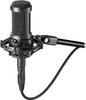 Accesorii audio și video – Microfoane
