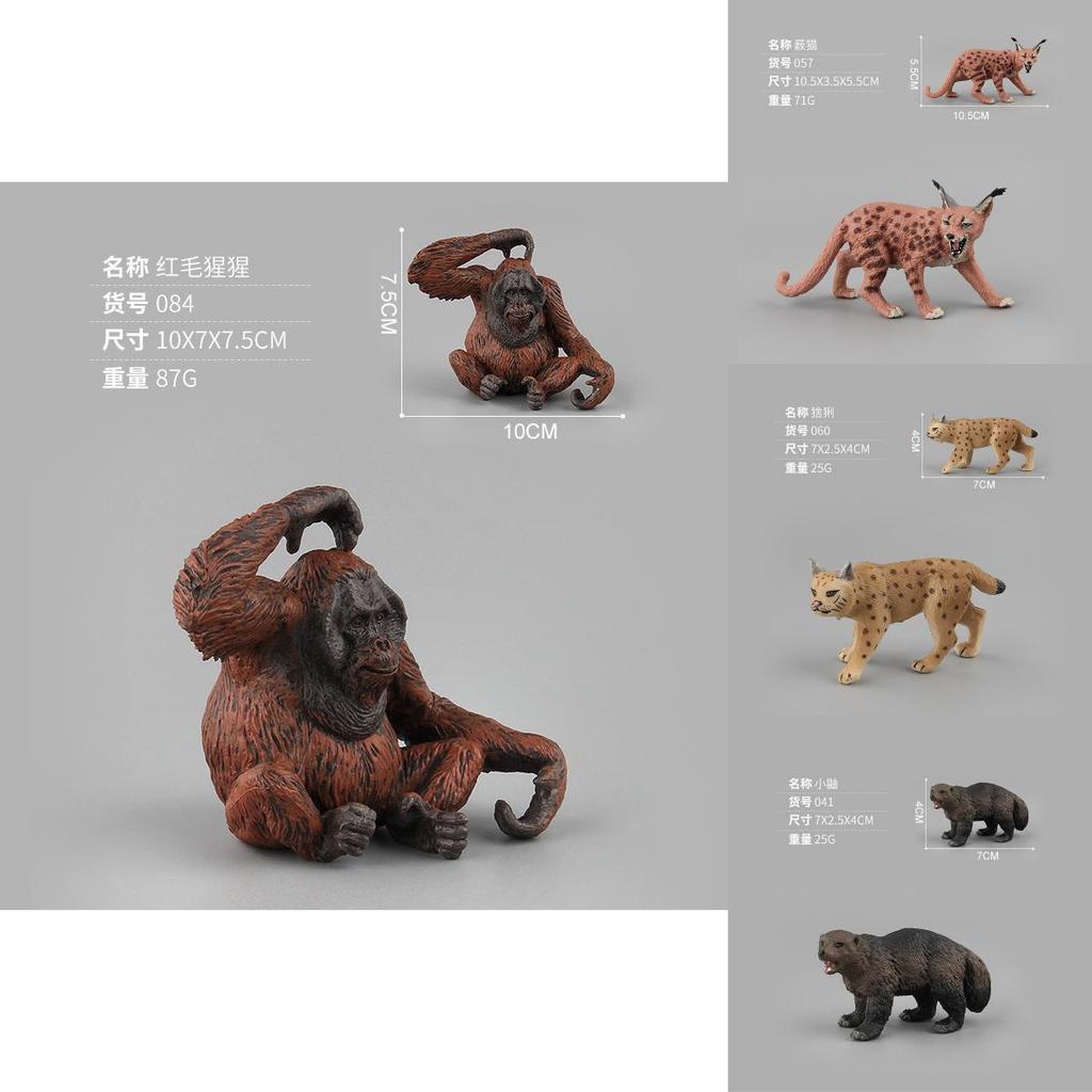 Realistic Wild Animal Models Pvc Material For Collection Learning And Nature Display Purposes