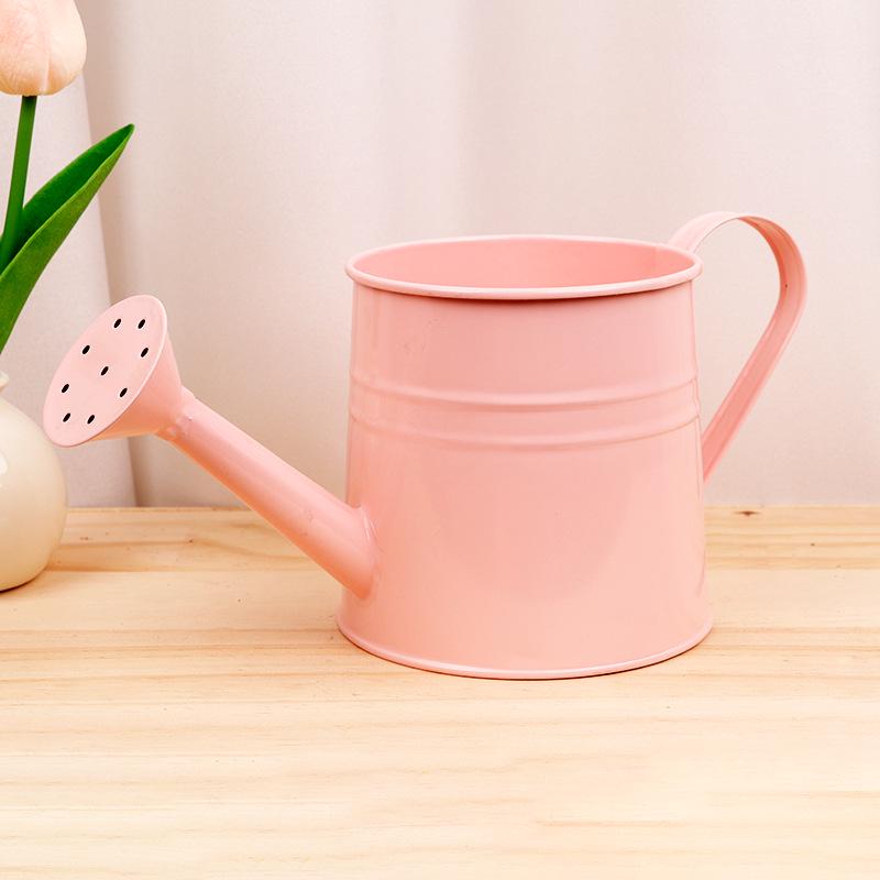 Creative Green Watering Can for Plants and Succulents - Decorative Spray Bottle for Gardening and Flower Arranging