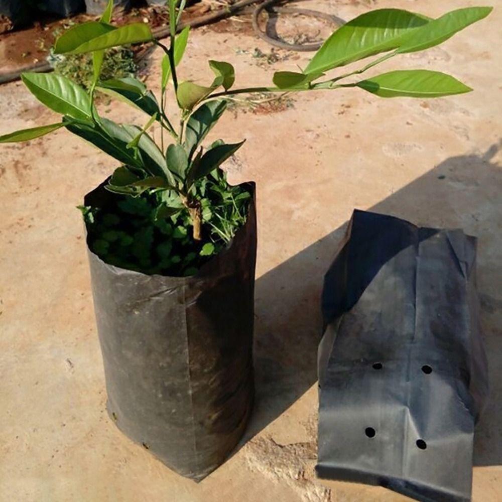 100Pcs PE Plastic Planting Bag Seedling Bag  for Garden Orchard Tree Transplanting