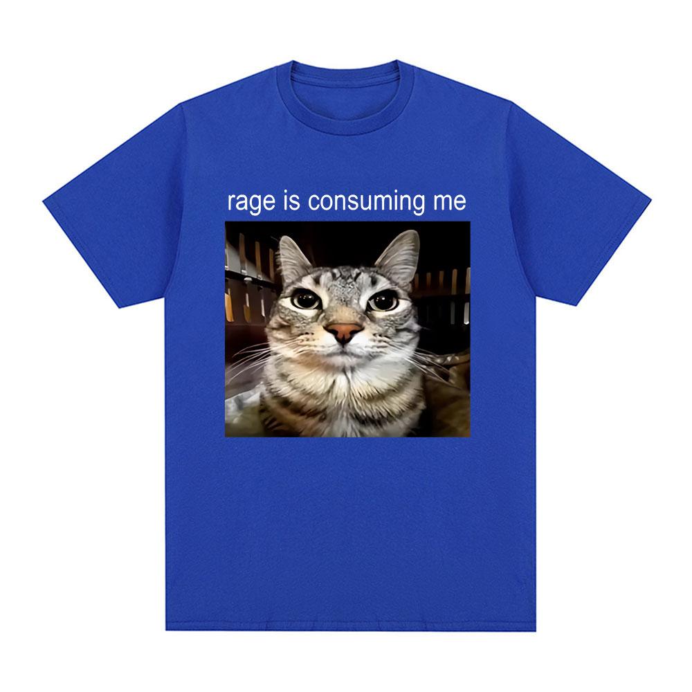 Rage Is Consuming Me Silly Staring Cat Meme Tee Shirt Casual Cotton Short Sleeve T-shirts Men Women Cat Lover T Shirt Oversized