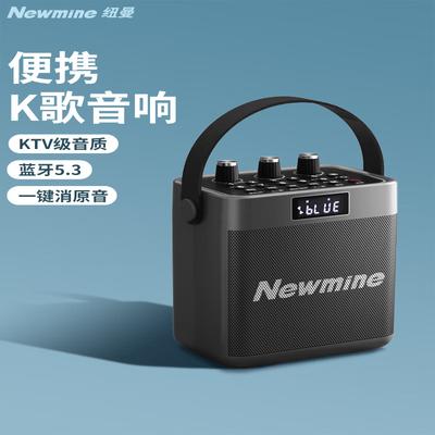 Newsmy K519 Portable Bluetooth Karaoke Speaker CN Plug (adapter Included)