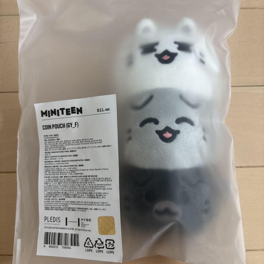 

[USED] SEVENTEEN Jun O.C.L Mini Teen