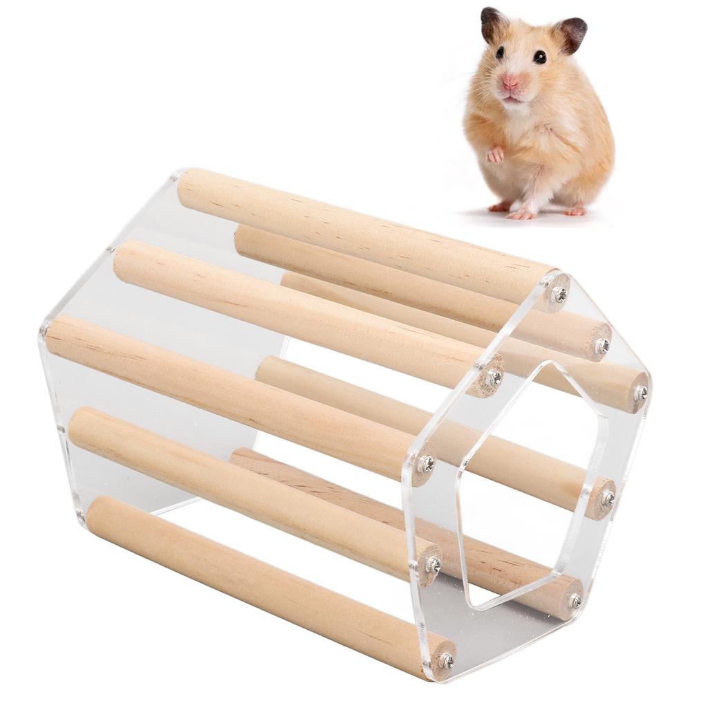 Minimalist Pentagonal Hamster Wooden House Ventilated Transparent Hamster Cabin for Hamster Golden Br