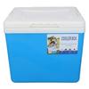 Cooler Box 10L   Highly Efficient with Handle Insulated Cooler for Camping Picnic Fishing Commercial Use