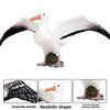 Wildlife Albatross Sparrow Bird Static Model For Kids Educational Play