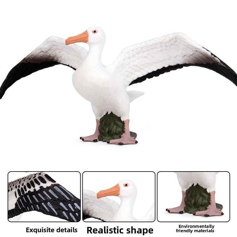 Wildlife Albatross Sparrow Bird Static Model For Kids Educational Play