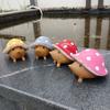 Yousheng 4Pcs/set Garden Hedgehog Statue Resin Hedgehog Wearing Mushroom Cap Weatherproof Hedgehog Figurine for Fairy Garden Home Patio Yard