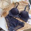 Sexy Lace Corrective Push Up Bra Set, Side Gathering Shaping Small Bust Women Lingerie Set