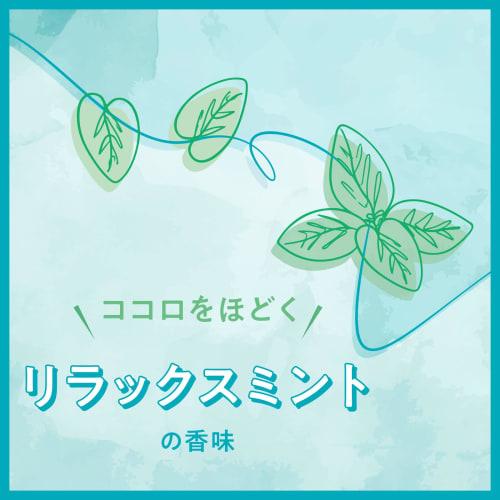 Earth Chemical Damon Relax Mint Mouthwash, 380ml