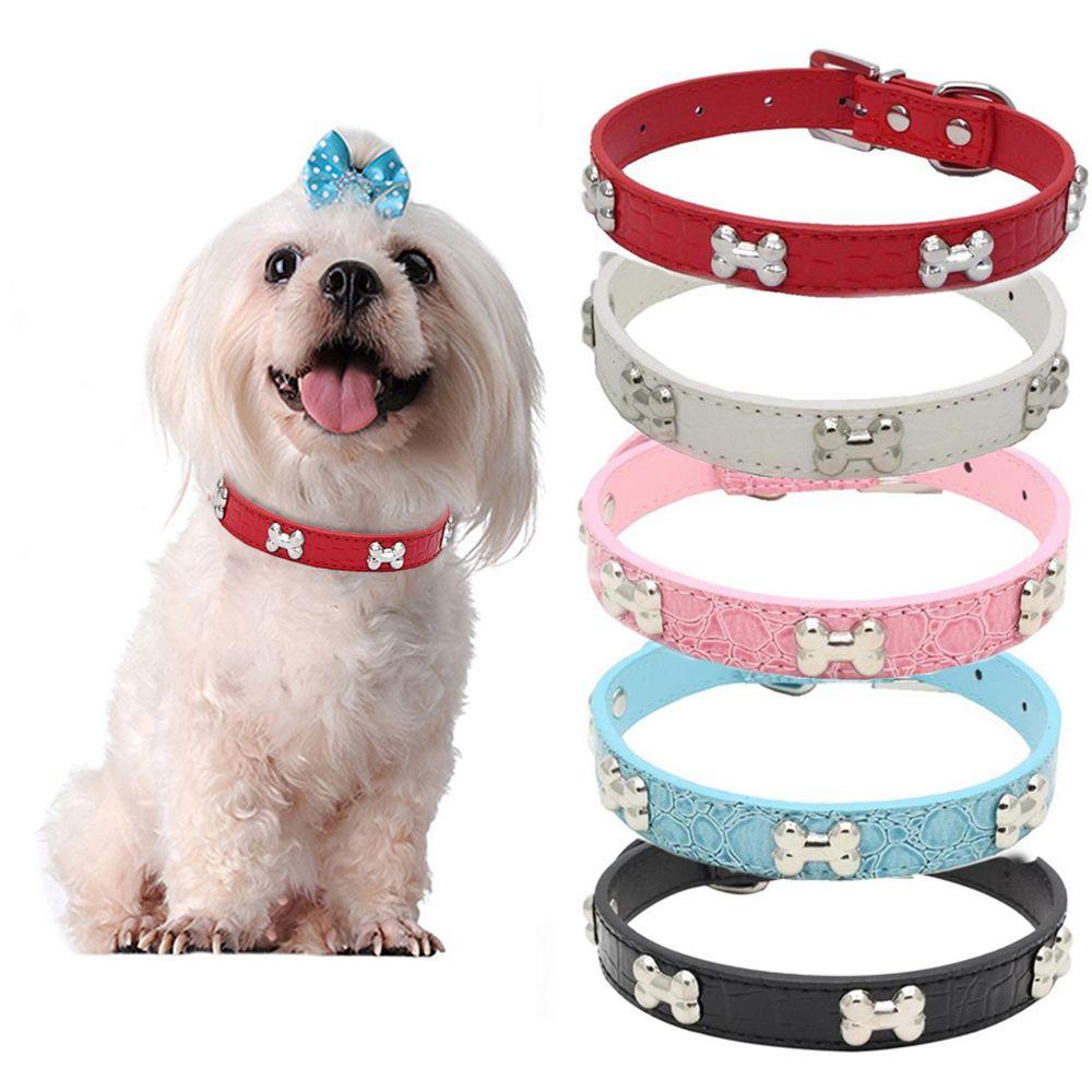 dog leash accessories