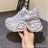 Dad Shoes Women's Shoes 2025 Summer Mesh New Thick-soled Inner Height Increase Explosive Version Casual Fashion Versatile Dad Shoes