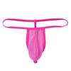 Men's See Through Thongs G-String Low Rise Underwear T-Back Bikini Briefs