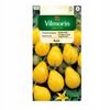 Perun Yellow Pear Ground Cocktail Tomato 0.5G Vilmorin Seeds