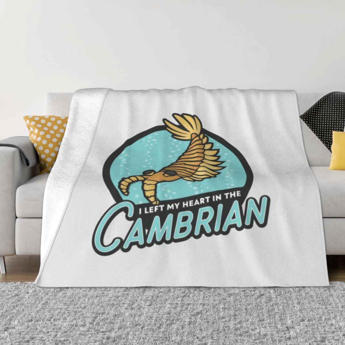 Я оставил свое сердце в Кембрии Персонализированный домашний декор Ультрамягкое микрофлисовое одеяло 50x60in
