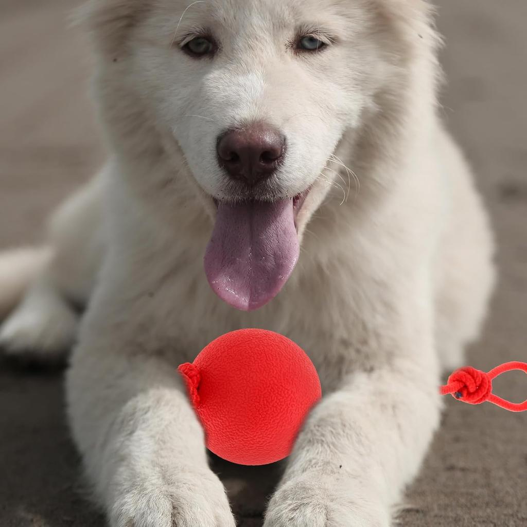 ABOOFAN Dog Ball On a Rope Rubber Rope Balls Tug Ball Toy for Medium and Small Dog Chew, Pull, Throw, Tug