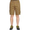 THE NORTH FACE Cargo Shorts Men's Khaki NF0A7QS9-PLX