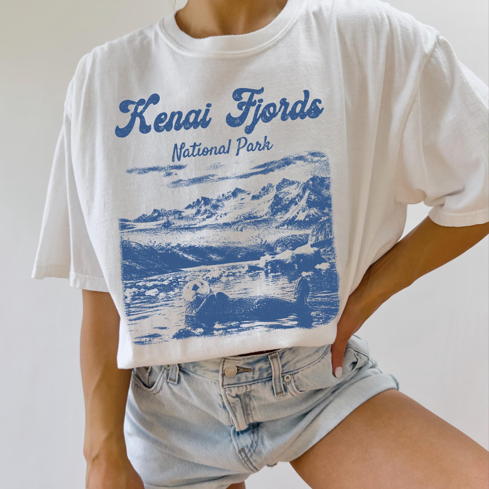 Kenai Fjords National Park T-Shirt, Alaska Glacier Whale Graphic Tee 3XL