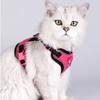 & Small Dog Leash Set - Outdoor Pet Vest for Puppies & Kittens