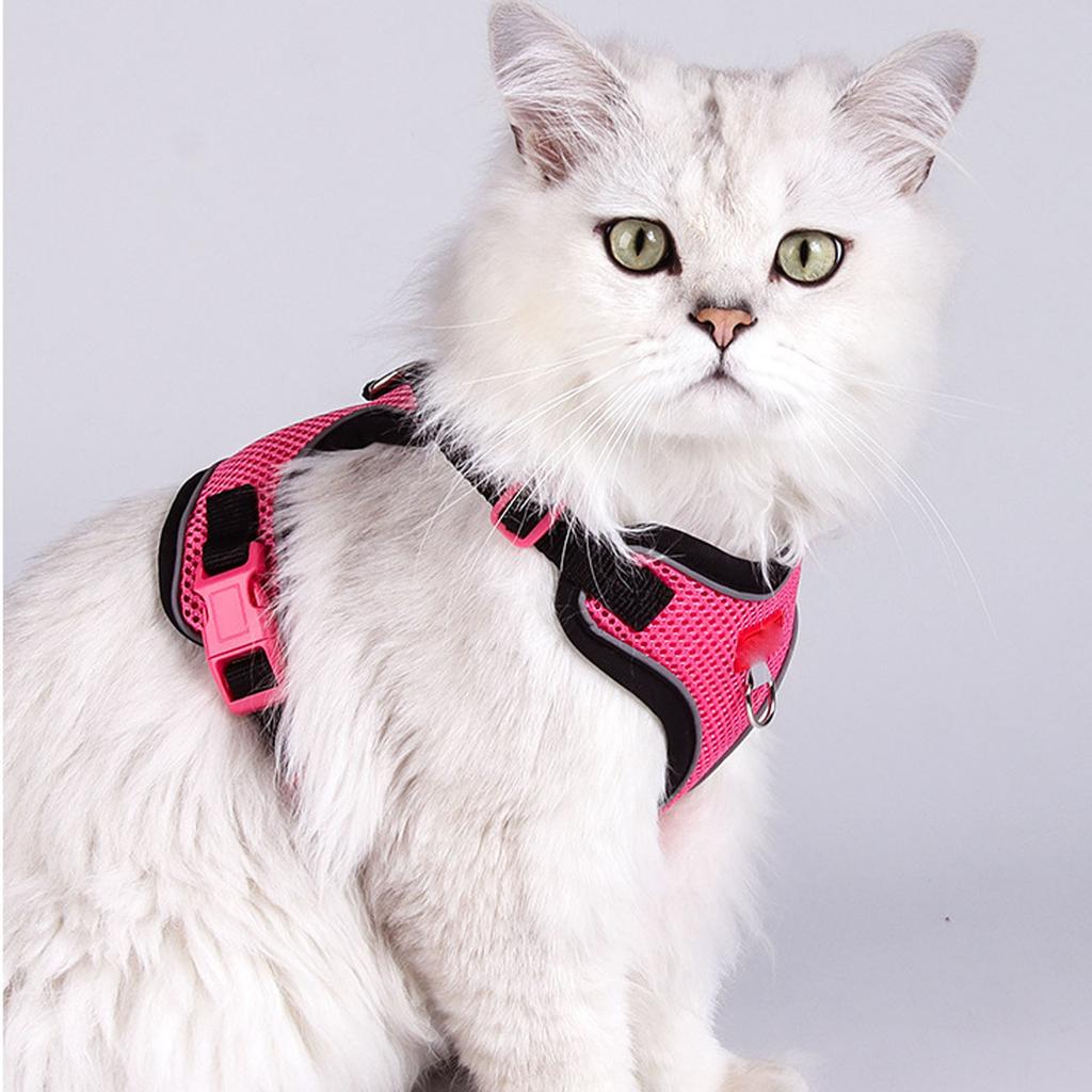 & Small Dog Leash Set - Outdoor Pet Vest for Puppies & Kittens