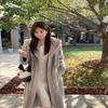 Women's Autumn And Winter Extended Hooded Imitation Mink Fur Coat Thickened And Warm Fur Coat Artificial Fur Mink Fur Coat