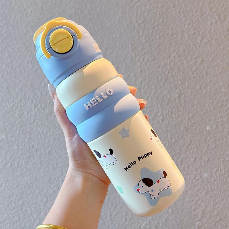 Kids 316 Stainless Steel Insulated Straw Bottle