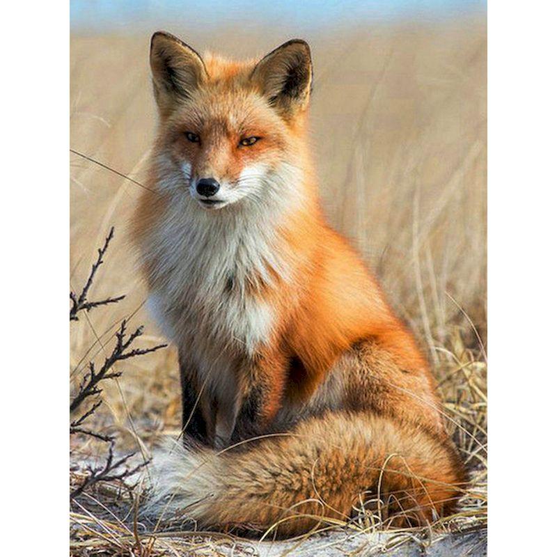 Full Diamond Mosaic Handmade Fox Pictures Diamond Embroidery 5D Animal Painting Crafts Wall Decor