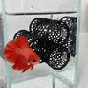 Shelter Function 3-in-1 Betta Fish Tunnel Fish Shrimp Aquarium Decor  Aquarium Decorations