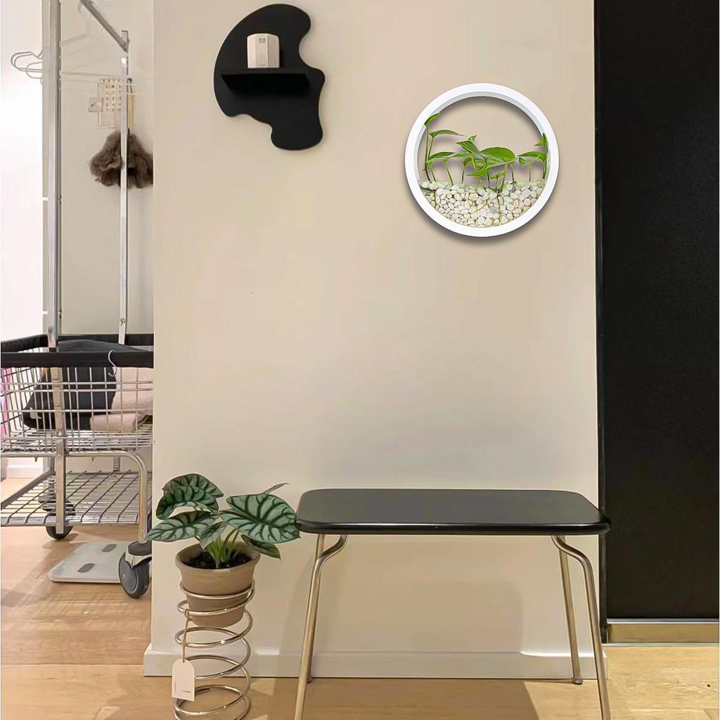 Round Hanging Wall Vase Planters for Succulents Flower Pot Wall Planters for Plants,Succulent Plant,Small Cactus,Home Wall Decor