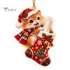 Gift Idea for Grandchildren Christmas Cute Animal Cash Ornament, 2D Flat Squirrel Fox Rabbit Dog Raccoon Teenagers Money Holder Acrylic Xmas