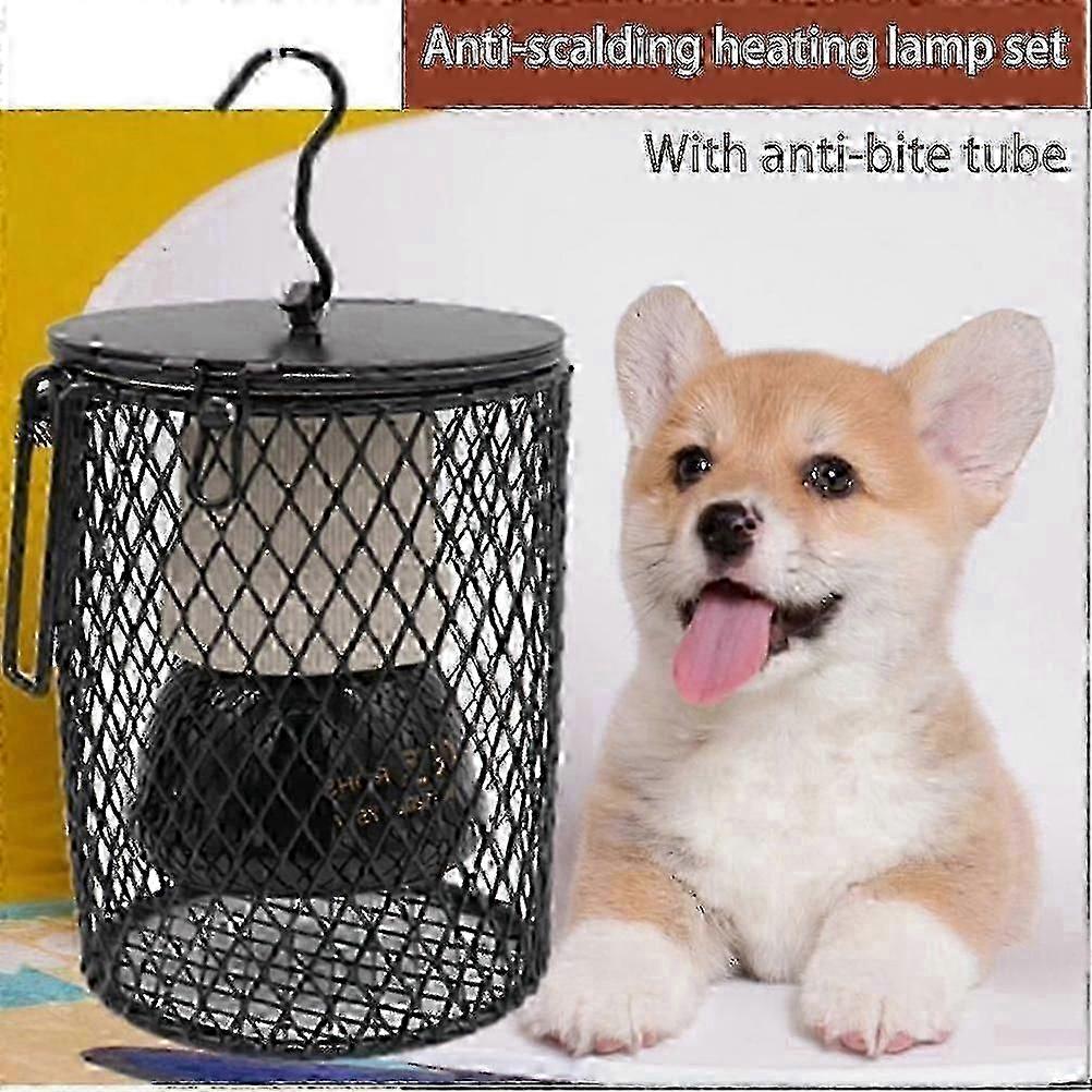 Lampada Riscaldante Per Uccelli E Rettili - Scaldino Ceramico Infrarosso Per Animali Domestici da 50w per l'Inverno