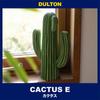 Dulton Cactus Height 275mm X Width Style Type Object, 160mm, E, K655-657E