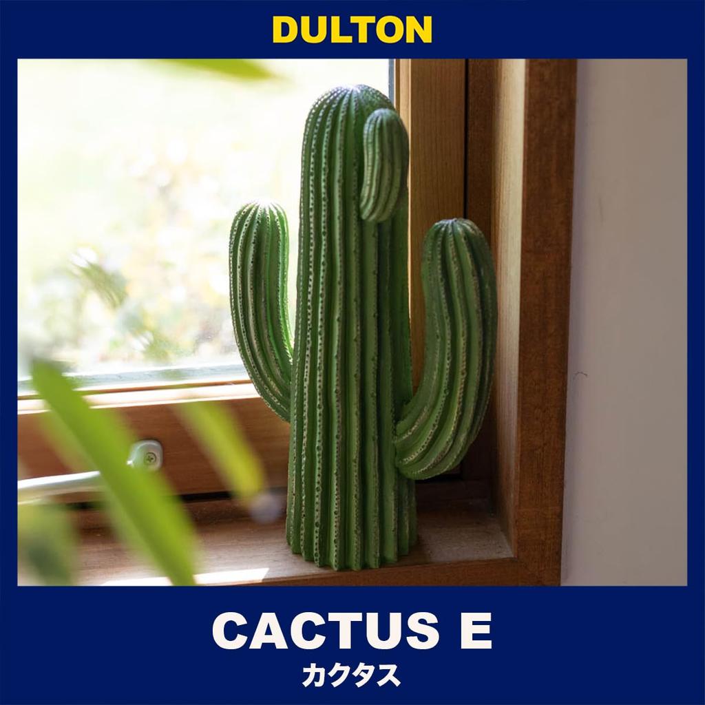 Dulton Cactus Height 275mm X Width Style Type Object, 160mm, E, K655-657E
