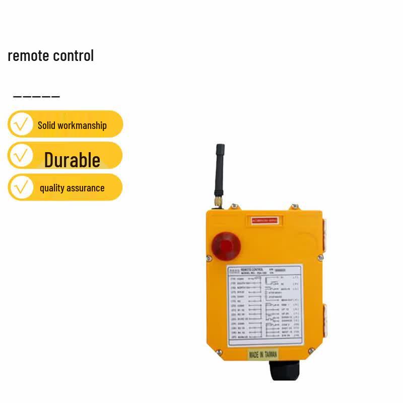 Yuding F24-10D Remote Control
