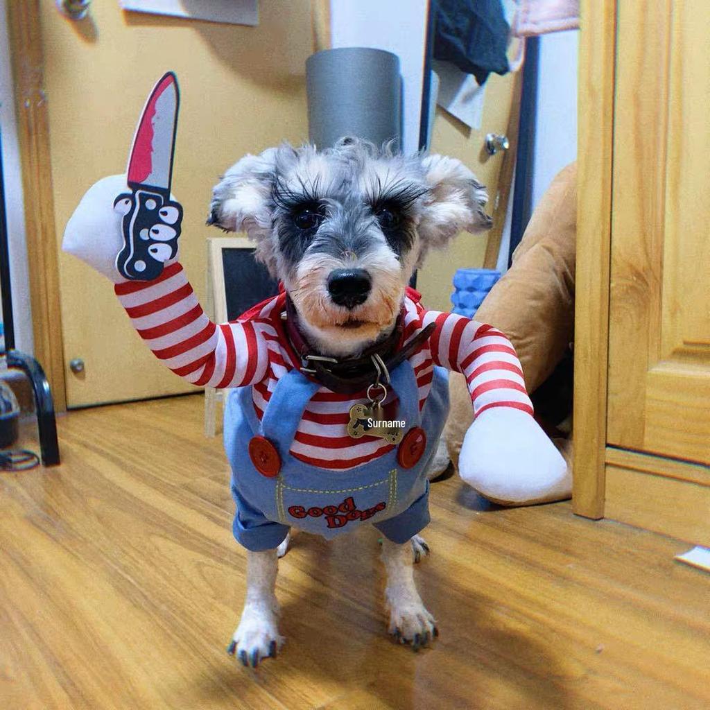 Halloween Klein- & Mittelgroßes Haustierkostüm - Hund & Katze Verwandlungskostüm