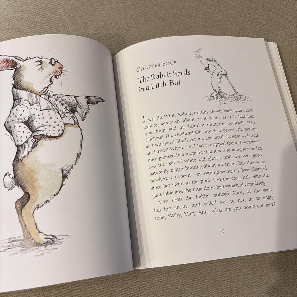 [USED] Foreign Books: Alice in Wonderland