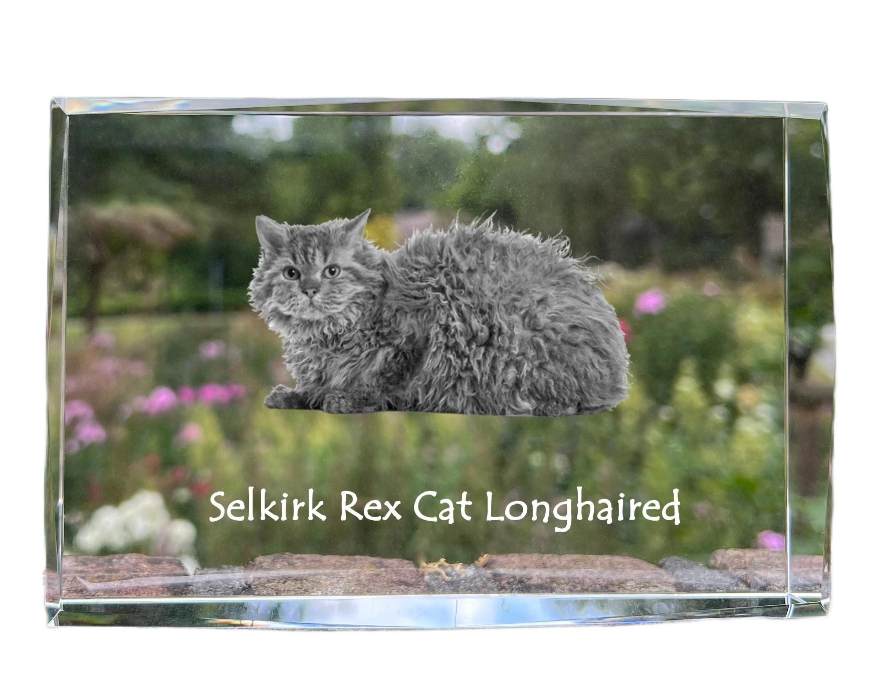 

Selkirk Rex Longhaired - crystal with a picture of a cat, photo in glass, modern exhibition of Art-Dog brand photo прозорий